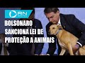 Bolsonaro sanciona lei que aumenta pena a maus-tratos a animais