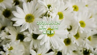 2021.10.24  阪神11R  菊花賞