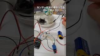 すねお。初めての自動水やり機を作る #電子工作 #shorts