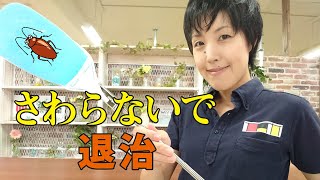 潰さず汚さず、安全にゴキブリ退治できるムシモン