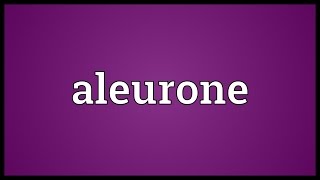 Aleurone Meaning