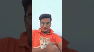 জেসিকে নিয়ে একটু সাদে গেলাম #cat #cats #catlover #kitten