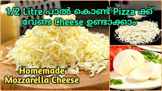 1/2 Litre പാൽ കൊണ്ട് Pizza ക്ക് വേണ്ട Cheese ഉണ്ടാക്കാം | Homemade Mozzarella Cheese | Pizza Cheese