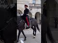 king’s guard shows respect to wheelchair user ♥️ ￼