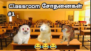 Cheems dog College Comedy Tamil | Tamil comedy video (part 1)