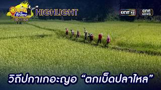 วิถีปกาเกอะญอ “ตกเบ็ดปลาไหล” | Highlight | อนุวัตทั่วไทย | EP 132 | one31