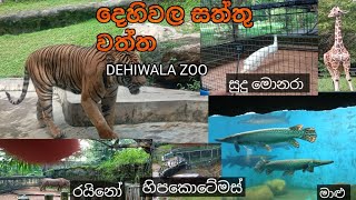 DEHIWALA ZOO [SRILANKA🇱🇰🇱🇰][TRAVEL WITH OSHEN] අනිවාර්යයෙන්ම යන්න ඕනි තැනක්