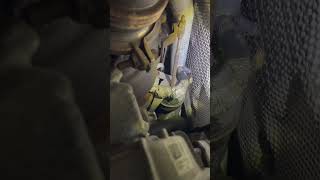 Coolant Leak Mayfield Bmw