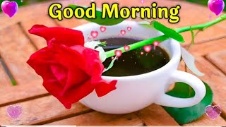 Good Morning status, 🌹Good Morning shayari, 🌹Good Morning video, 🌹Good Morning