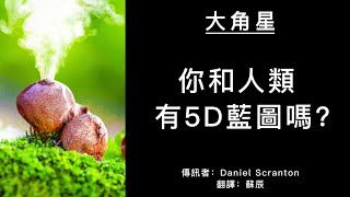 你為每一世創造了一個藍圖，但這一世有別於其他世   #大角星訊息