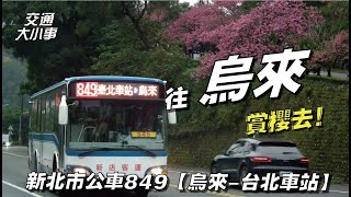 花季來了！搭849去烏來賞櫻花吧｜精選路線特輯《849烏來-台北車站》｜交通大小事