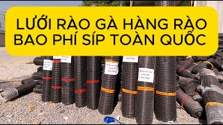 Lưới nhựa nuôi gà , lưới nhựa làm hàng rào trang trại #luoinhua luoiraoga