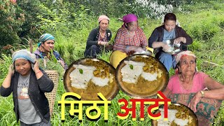 कोदोको बिउ झिकेर मिठो आटो र गोरस खाईयो|| millet farming in village|| Susmita Gharti ||