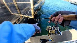 Throwing Lures At A Popular Wharf!