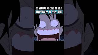 눈 앞에서 동료들을 잃는 루피 #원피스