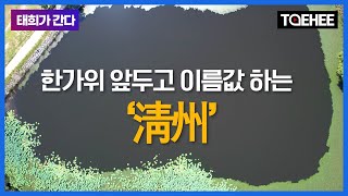 태희가간다ㅣ한가위 앞두고 이름값 하는 ‘淸州’