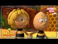 Willy is motivated - Maya the bee - Studio100 miniKIDS 🍯🐝🍯