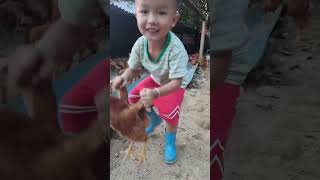 Rural children, novice chicken farmers, rural free-range chickens, free-range chickens #232