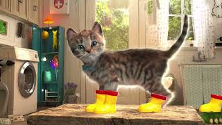 Little Kitten Preschool Adventure Educational Games -Play Fun Cute Kitten Pet Care ios Learning Game