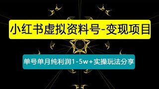 小红书虚拟资料号-变现项目：单号单月纯利润1-5w+实操玩法分享