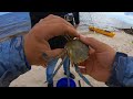 How to dispatch a blue crab for bait!