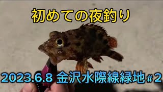 【夜釣り】横浜 金沢水際線緑地