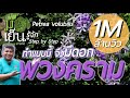 พวงคราม ทำแบบนี้มีดอกตลอดปี ไม้เลื้อยอเนกประสงค์ สารพัดประโยชน์ คลุมหลังคาก็ได้ ไต่ผนังก็ดี