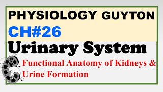 Ch#26 Physiology Guyton | Urinary System: Functional Anatomy & Urine Formation | Renal Physiology