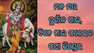 ମନ ମତ୍ତ ଦୁହାଁଳ ଗାଈ,ଗାଈ ପଳେଇବ ପଘା ଛିଣ୍ଡେଇ || Mana Matta Duhanla Gaai