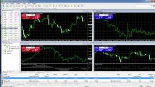 MetaTrader 4. Как получить отчет из платформы