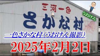 【最新情報】世界最大級なのに1500円『一色さかな村』本日限定の商品は太くて長くて黒いアレ