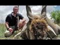 hunting eland with wn safaris