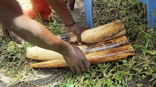 Elephant Poachers Surrender in the Lomami National Park, DR Congo