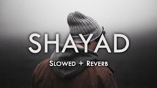 Shayad [ Slowed + Reverb ] - Arijit singh | Pritam | Lofi | Slowed Anchal