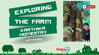 Exploring the farm - Karthika Homestay at Wayanad