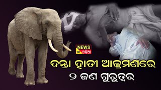 ଦନ୍ତା ହାତୀ ଆକ୍ରମଣରେ ଦୁଇଜଣ ଗୁରୁତର ||news10odia