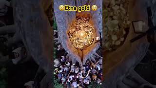 Etna sara gold unbelievable #sort #facts #animals #viralvideo #birds #wildlife #squirrel #cute