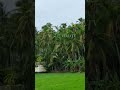 beautiful village cherumukku in malappuram kerala travel nature subscripe viral entertainment