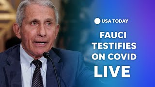 Watch: Fauci testifies on COVID origins