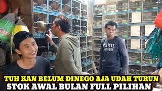 TUH KAN BELUM DINEGO AJA HARGA UDAH DITURUNIN!!STOK BURUNG DI AWAL BULAN KIOS HAJI SUWARNO