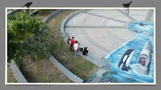 2020/05/10頂魚寮公園 空拍 mavic mini