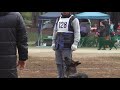 ゴウ　日本訓練士連盟競技会　2014 2 2