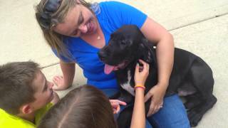 20140905 Diesel Comes Home 153413