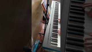 Eighth Wonder by Lemon Demon | Piano Cover