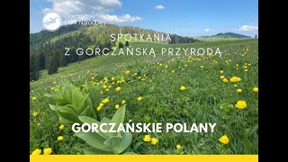 Spotkania z gorczańską przyrodą - \