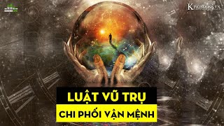 VẬN HÀNH MẠNH MẼ - CHI PHỐI VẬN MỆNH - QUY LUẬT VŨ TRỤ | DOMINO LIFE