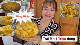 Ở Canada mua hàng nhập trái cây , mít to và giá cũng to luôn.