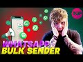 Whatsapp Bulk Sender 🔥 What is The Best Whatsapp Bulk Message Sender?