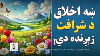 شرافت د بریا بنسـټیز اصل دی