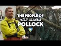 The People of Wild Alaska Pollock (Hero Video)